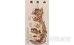 人体阳明经与闻香的关系