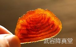 定香剂的类型与应用